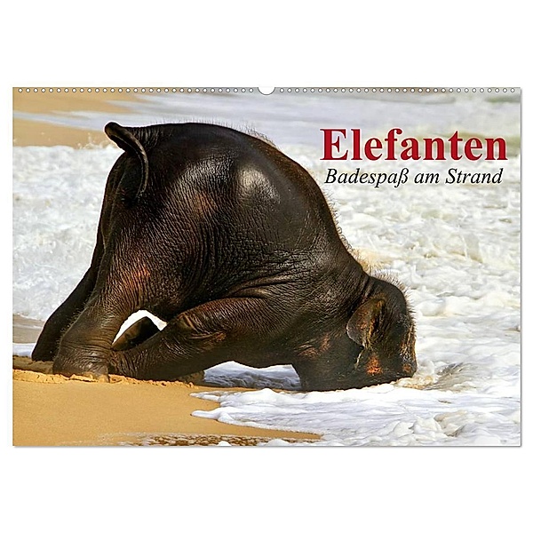 Elefanten. Badespaß am Strand (Wandkalender 2024 DIN A2 quer), CALVENDO Monatskalender, Elisabeth Stanzer