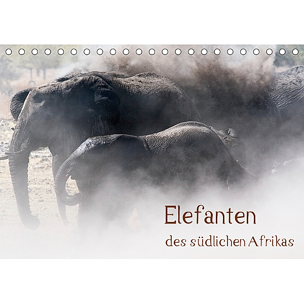 Elefanten des südlichen Afrikas (Tischkalender 2020 DIN A5 quer), Ute Nast-Linke