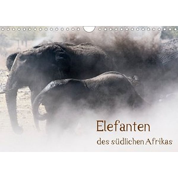 Elefanten des südlichen Afrikas (Wandkalender 2020 DIN A4 quer), Ute Nast-Linke