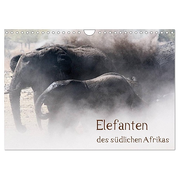Elefanten des südlichen Afrikas (Wandkalender 2024 DIN A4 quer), CALVENDO Monatskalender, Ute Nast-Linke