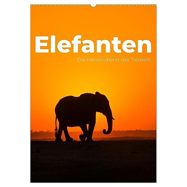 Elefanten - Die Herzeroberer der Tierwelt. (Wandkalender 2024 DIN A2 hoch), CALVENDO Monatskalender, SF