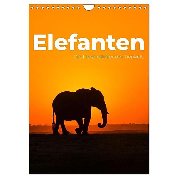 Elefanten - Die Herzeroberer der Tierwelt. (Wandkalender 2024 DIN A4 hoch), CALVENDO Monatskalender, SF