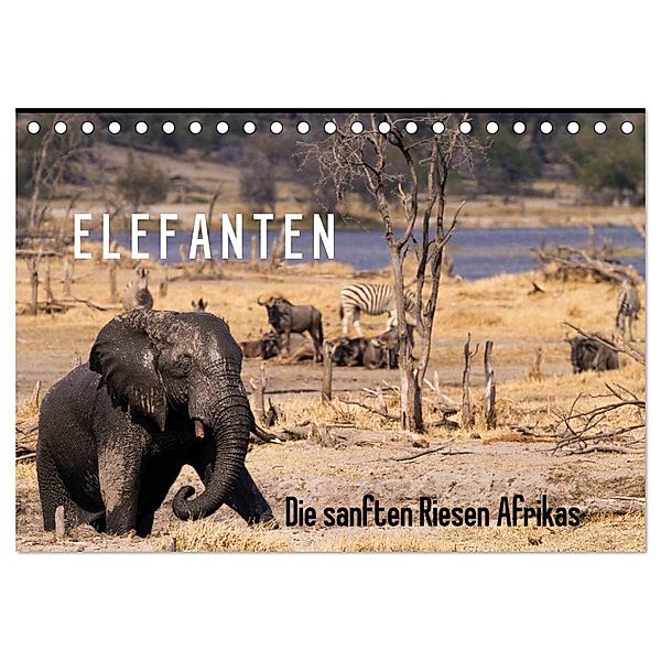 Elefanten - Die sanften Riesen Afrikas (Tischkalender 2024 DIN A5 quer), CALVENDO Monatskalender, Markus Pavlowsky Photography