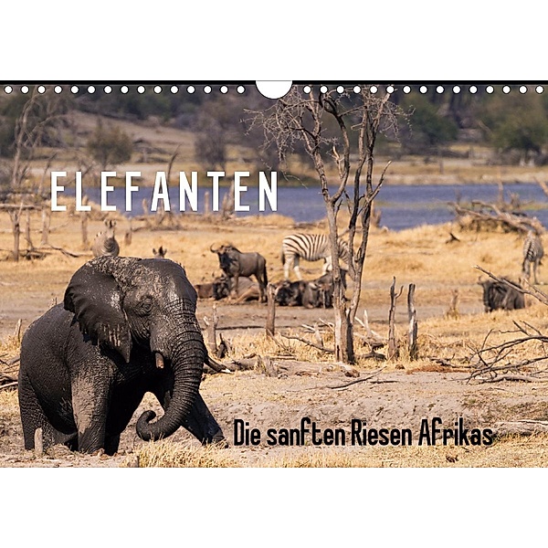 Elefanten - Die sanften Riesen Afrikas (Wandkalender 2021 DIN A4 quer), Markus Pavlowsky