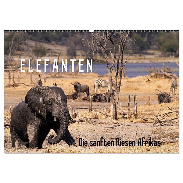 Elefanten - Die sanften Riesen Afrikas (Wandkalender 2024 DIN A2 quer), CALVENDO Monatskalender, Markus Pavlowsky Photography