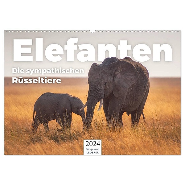 Elefanten - Die sympathischen Rüsseltiere (Wandkalender 2024 DIN A2 quer), CALVENDO Monatskalender, Benjamin Lederer