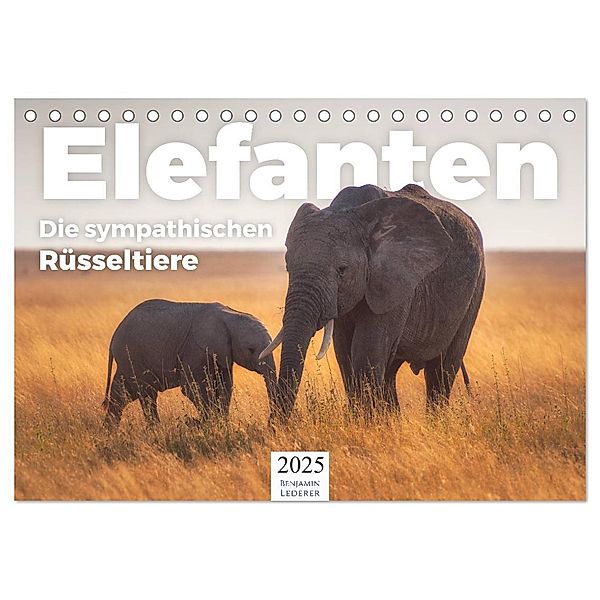 Elefanten - Die sympathischen Rüsseltiere (Tischkalender 2025 DIN A5 quer), CALVENDO Monatskalender, Calvendo, Benjamin Lederer