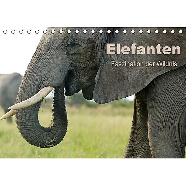 Elefanten - Faszination der Wildnis (Tischkalender 2017 DIN A5 quer), Nadine Haase