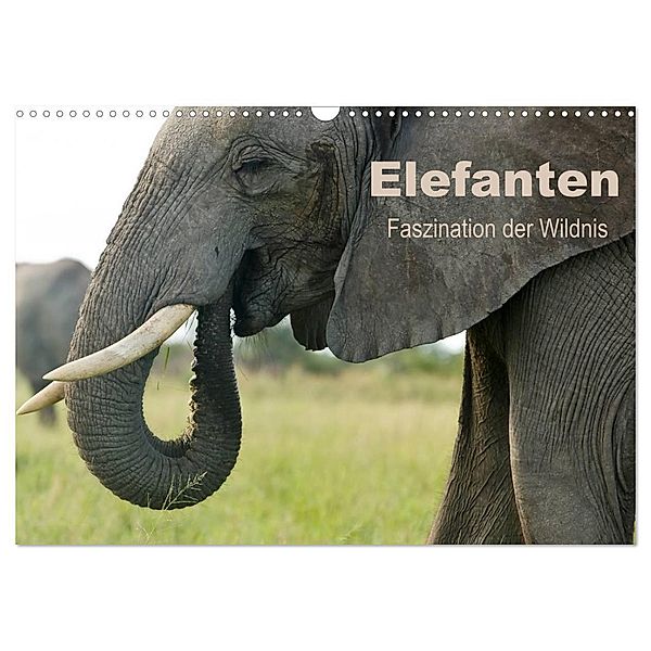 Elefanten - Faszination der Wildnis (Wandkalender 2024 DIN A3 quer), CALVENDO Monatskalender, Nadine Haase