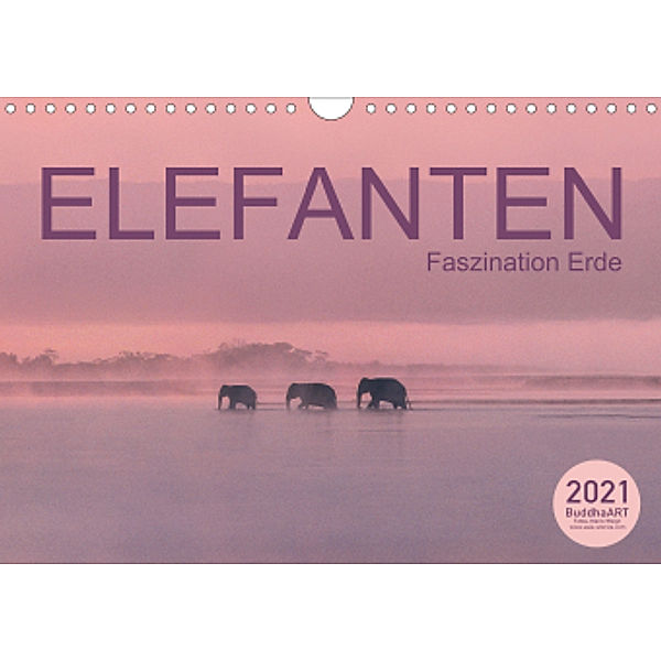 ELEFANTEN Faszination Erde (Wandkalender 2021 DIN A4 quer), BuddhaART by Mario Weigt