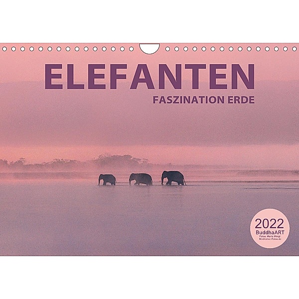 ELEFANTEN - Faszination Erde (Wandkalender 2022 DIN A4 quer), BuddhaART