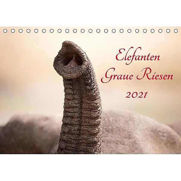 Elefanten - Graue Riesen (Tischkalender 2021 DIN A5 quer), Kirsten Karius