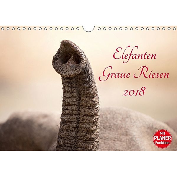 Elefanten - Graue Riesen (Wandkalender 2018 DIN A4 quer) Dieser erfolgreiche Kalender wurde dieses Jahr mit gleichen Bil, Kirsten Karius