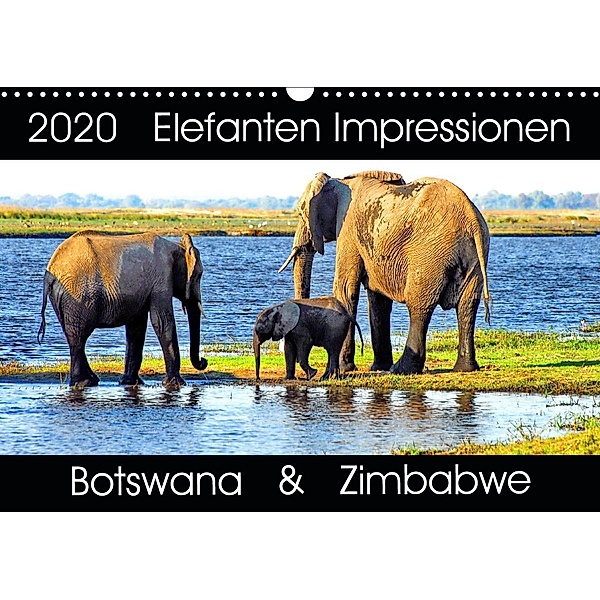 Elefanten Impressionen (Wandkalender 2020 DIN A3 quer), Barbara Fraatz