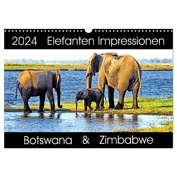 Elefanten Impressionen (Wandkalender 2024 DIN A3 quer), CALVENDO Monatskalender, Barbara Fraatz