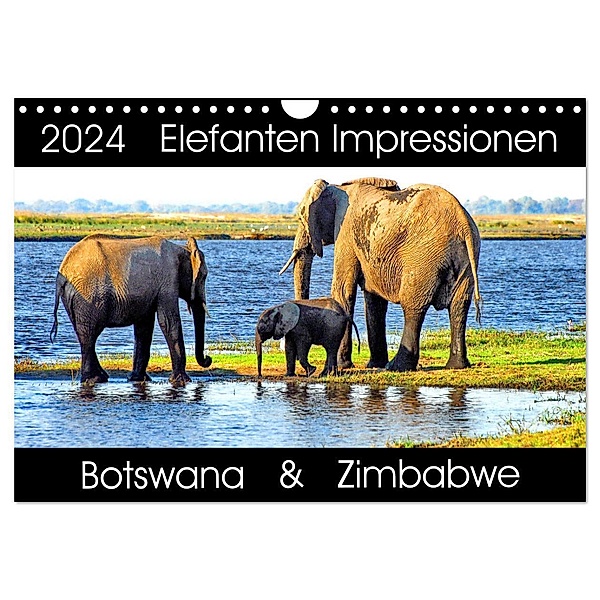 Elefanten Impressionen (Wandkalender 2024 DIN A4 quer), CALVENDO Monatskalender, Barbara Fraatz