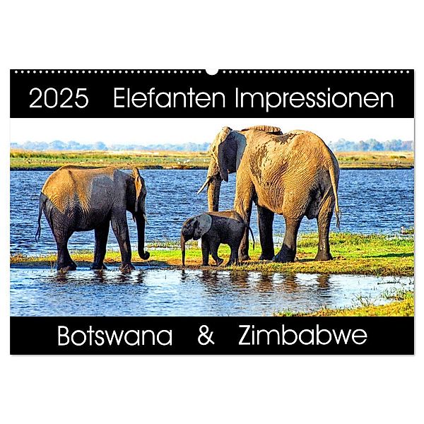 Elefanten Impressionen (Wandkalender 2025 DIN A2 quer), CALVENDO Monatskalender, Calvendo, Barbara Fraatz