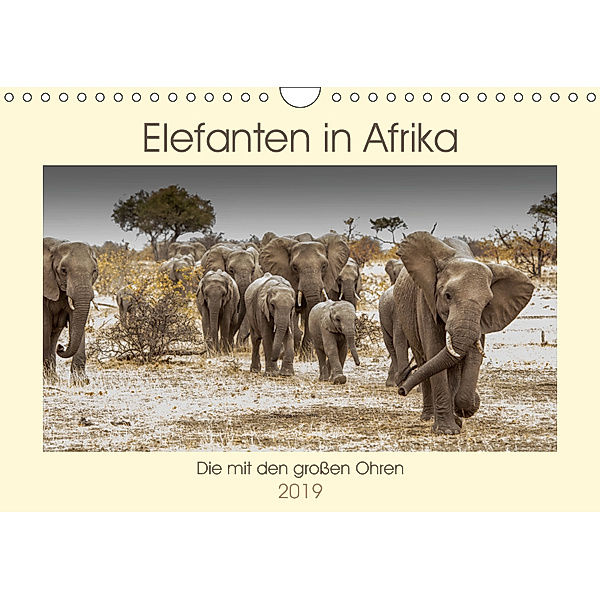 Elefanten in Afrika - Die mit den großen Ohren (Wandkalender 2019 DIN A4 quer), Barbara Bethke