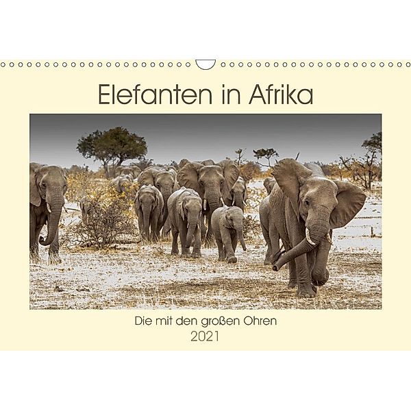 Elefanten in Afrika - Die mit den großen Ohren (Wandkalender 2021 DIN A3 quer), Barbara Bethke