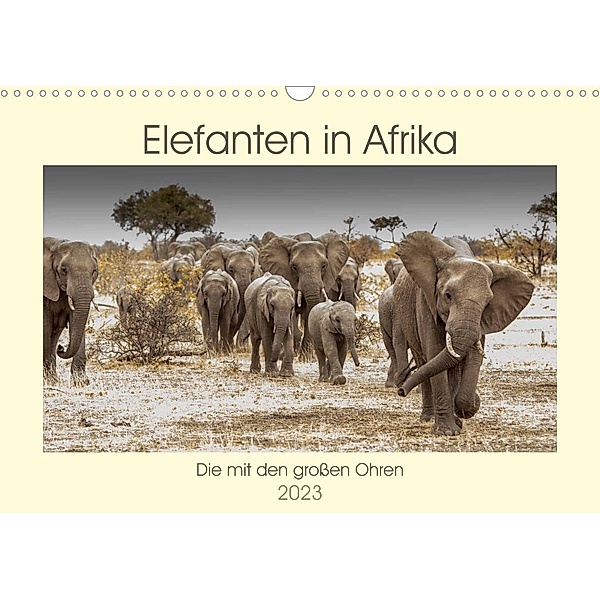 Elefanten in Afrika - Die mit den großen Ohren (Wandkalender 2023 DIN A3 quer), Barbara Bethke