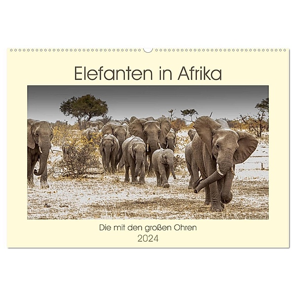 Elefanten in Afrika - Die mit den grossen Ohren (Wandkalender 2024 DIN A2 quer), CALVENDO Monatskalender, Barbara Bethke