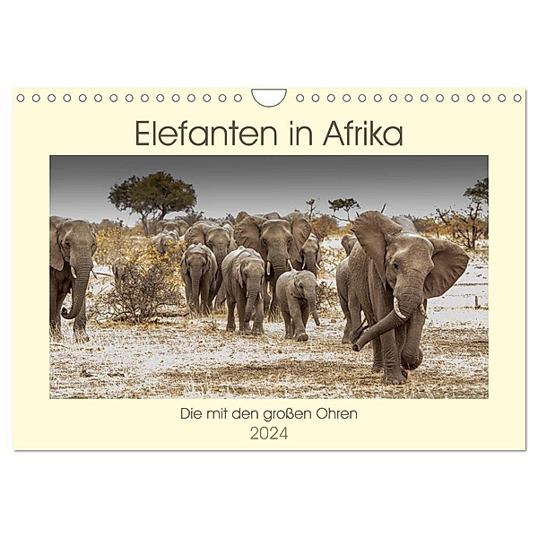 Elefanten in Afrika - Die mit den grossen Ohren (Wandkalender 2024 DIN A4 quer), CALVENDO Monatskalender, Barbara Bethke