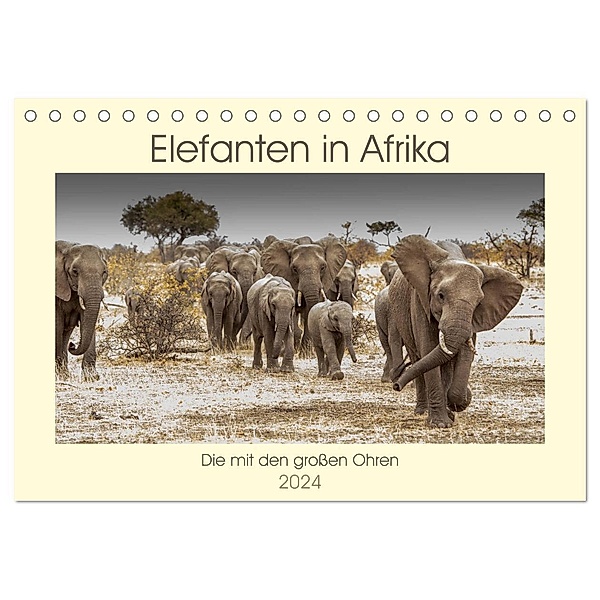 Elefanten in Afrika - Die mit den grossen Ohren (Tischkalender 2024 DIN A5 quer), CALVENDO Monatskalender, Barbara Bethke
