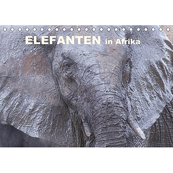 Elefanten in Afrika (Tischkalender 2017 DIN A5 quer), Michael Herzog