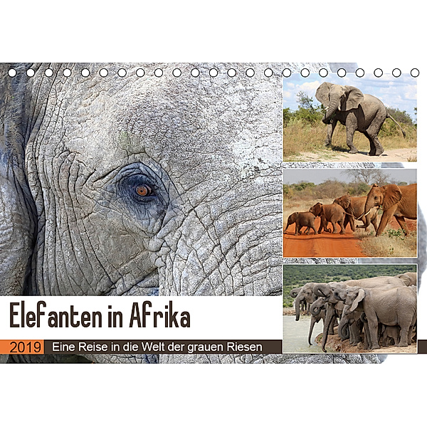 Elefanten in Afrika (Tischkalender 2019 DIN A5 quer), Michael Herzog