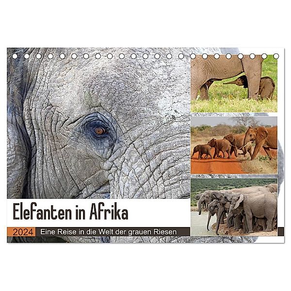 Elefanten in Afrika (Tischkalender 2024 DIN A5 quer), CALVENDO Monatskalender, Michael Herzog