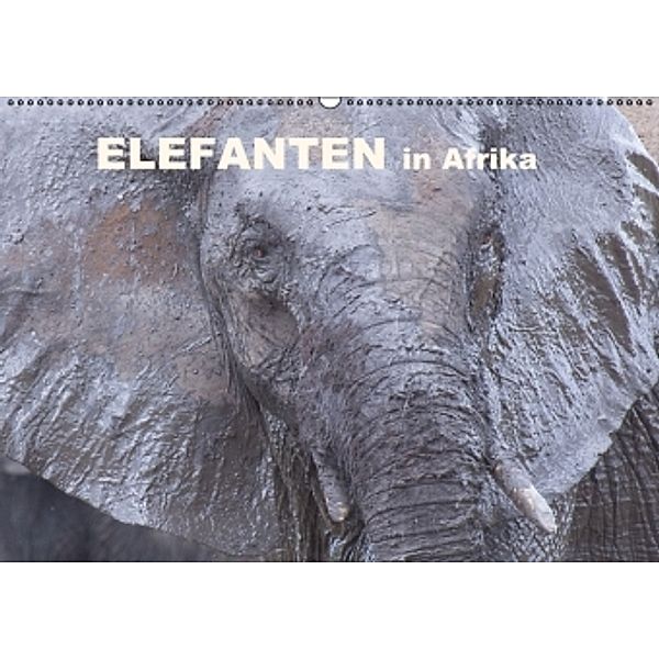 Elefanten in Afrika (Wandkalender 2016 DIN A2 quer), Michael Herzog