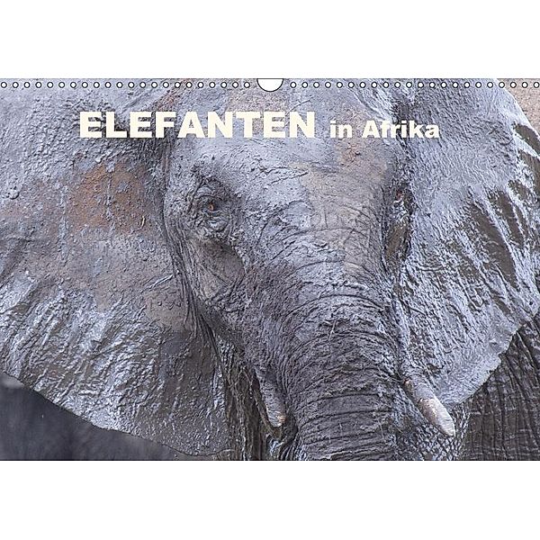 Elefanten in Afrika (Wandkalender 2017 DIN A3 quer), Michael Herzog