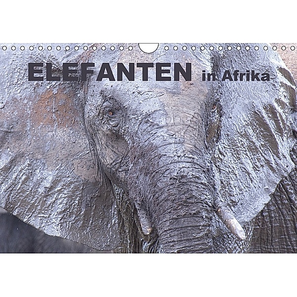 Elefanten in Afrika (Wandkalender 2018 DIN A4 quer) Dieser erfolgreiche Kalender wurde dieses Jahr mit gleichen Bildern, Michael Herzog