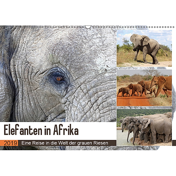 Elefanten in Afrika (Wandkalender 2019 DIN A2 quer), Michael Herzog