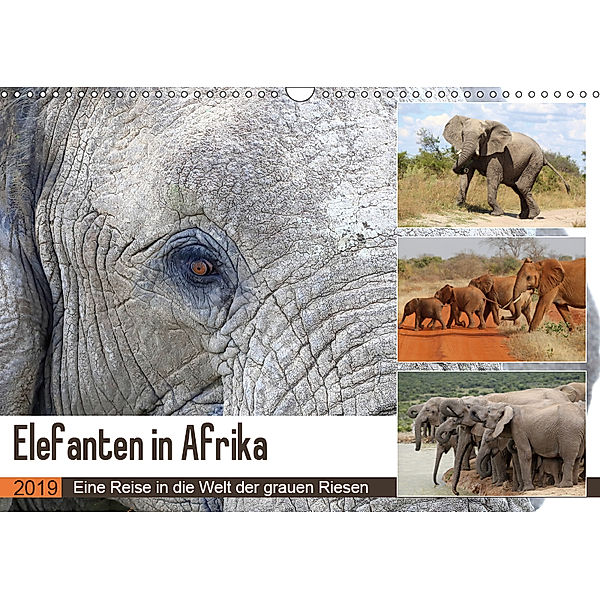 Elefanten in Afrika (Wandkalender 2019 DIN A3 quer), Michael Herzog