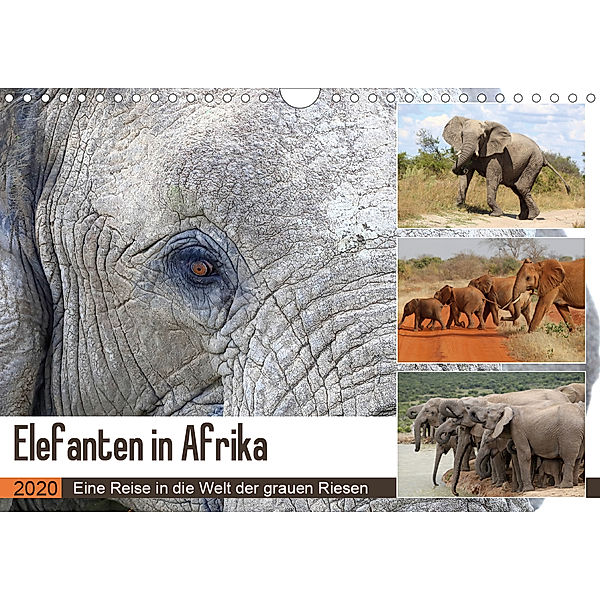 Elefanten in Afrika (Wandkalender 2020 DIN A4 quer), Michael Herzog