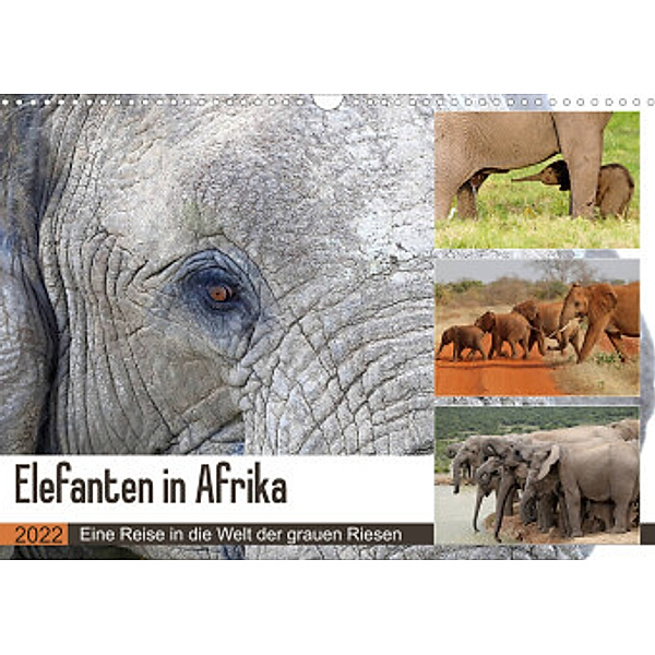 Elefanten in Afrika (Wandkalender 2022 DIN A3 quer), Michael Herzog