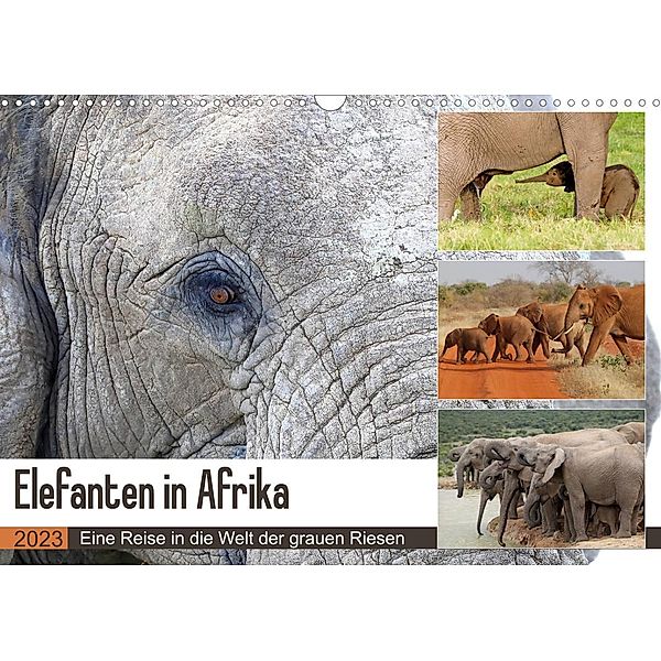 Elefanten in Afrika (Wandkalender 2023 DIN A3 quer), Michael Herzog