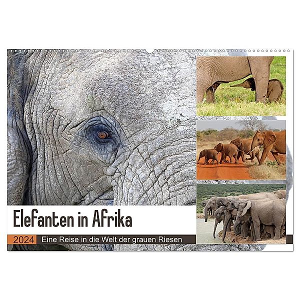 Elefanten in Afrika (Wandkalender 2024 DIN A2 quer), CALVENDO Monatskalender, Michael Herzog