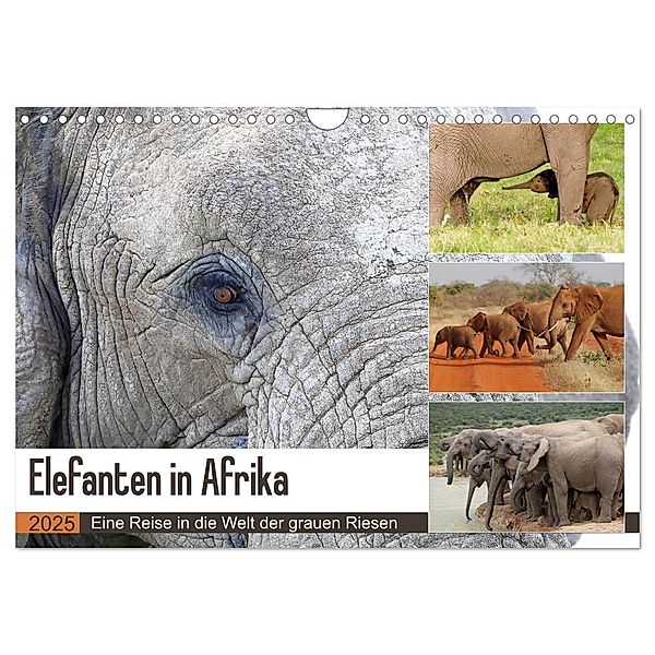 Elefanten in Afrika (Wandkalender 2025 DIN A4 quer), CALVENDO Monatskalender, Calvendo, Michael Herzog