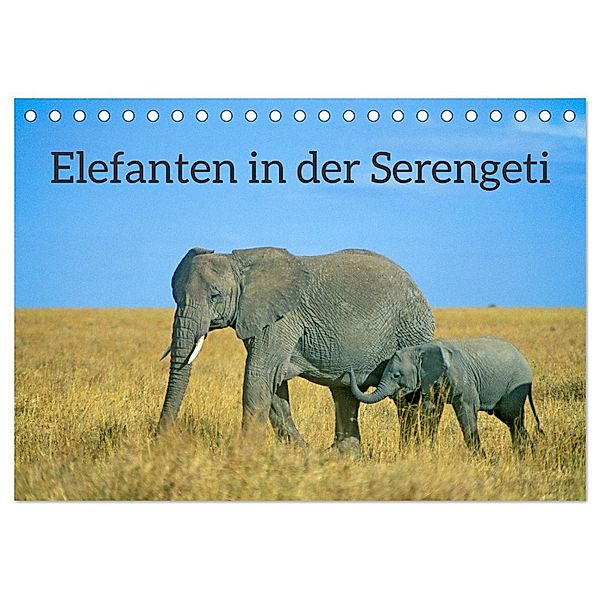 Elefanten in der Serengeti (Tischkalender 2025 DIN A5 quer), CALVENDO Monatskalender, Calvendo, Siegfried Kuttig