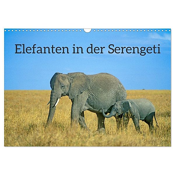 Elefanten in der Serengeti (Wandkalender 2024 DIN A3 quer), CALVENDO Monatskalender, Siegfried Kuttig