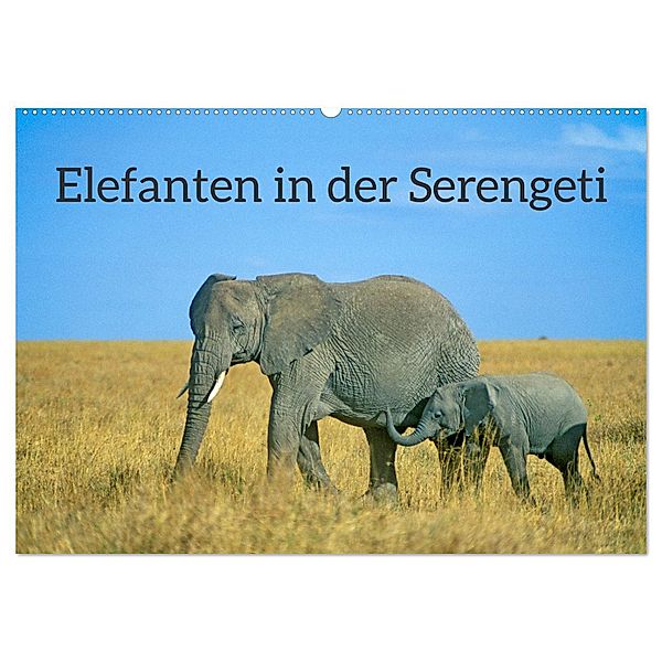 Elefanten in der Serengeti (Wandkalender 2025 DIN A2 quer), CALVENDO Monatskalender, Calvendo, Siegfried Kuttig