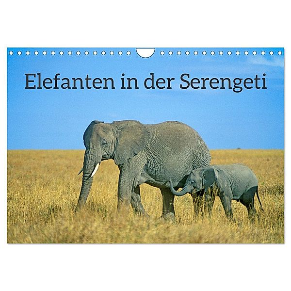 Elefanten in der Serengeti (Wandkalender 2025 DIN A4 quer), CALVENDO Monatskalender, Calvendo, Siegfried Kuttig