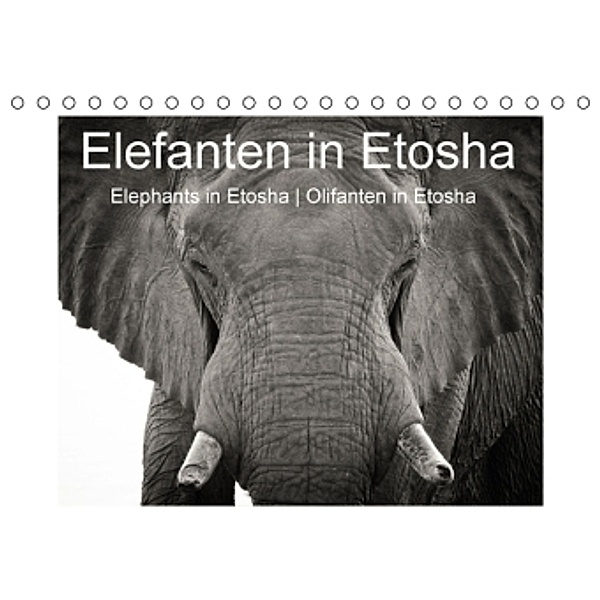 Elefanten in Etosha (Tischkalender 2016 DIN A5 quer), Irma van der Wiel