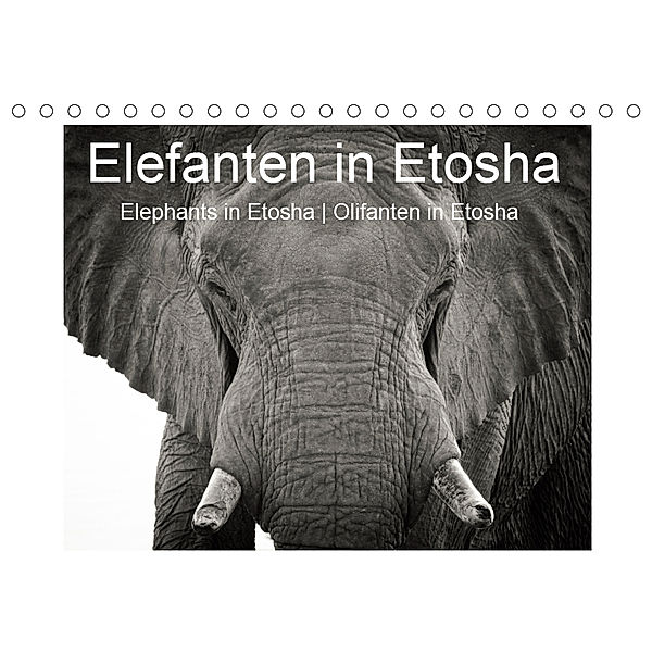 Elefanten in Etosha (Tischkalender 2019 DIN A5 quer), Irma van der Wiel