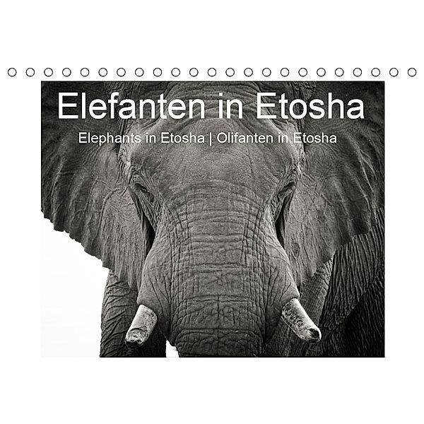 Elefanten in Etosha (Tischkalender 2020 DIN A5 quer), Irma van der Wiel