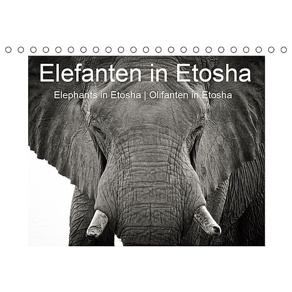 Elefanten in Etosha (Tischkalender 2021 DIN A5 quer), Irma van der Wiel