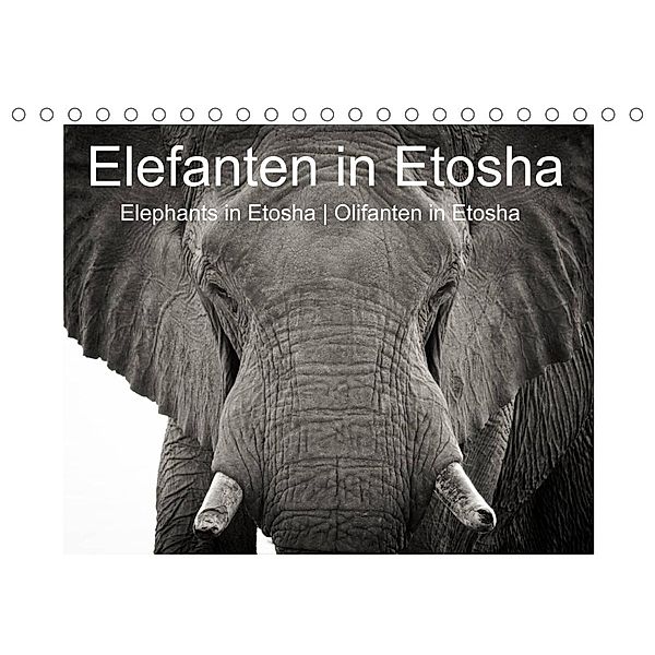 Elefanten in Etosha (Tischkalender 2023 DIN A5 quer), Irma van der Wiel