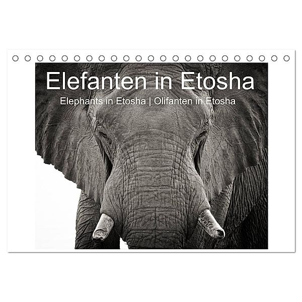 Elefanten in Etosha (Tischkalender 2024 DIN A5 quer), CALVENDO Monatskalender, Irma van der Wiel